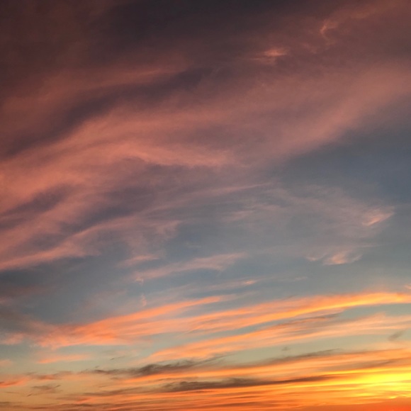 Meet your Posher, Joy! - Picture 1 of 1